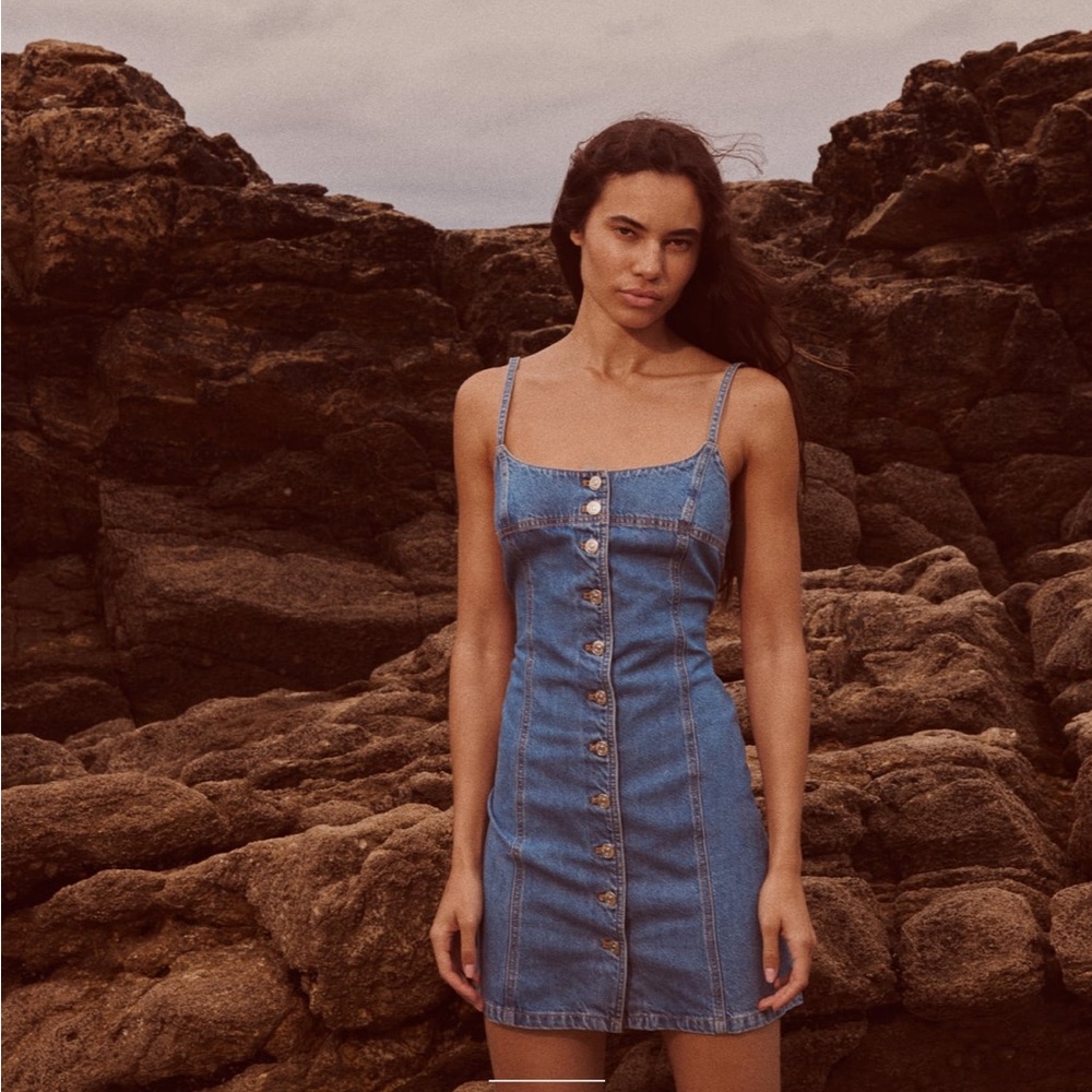 Zara buttoned denim dress
